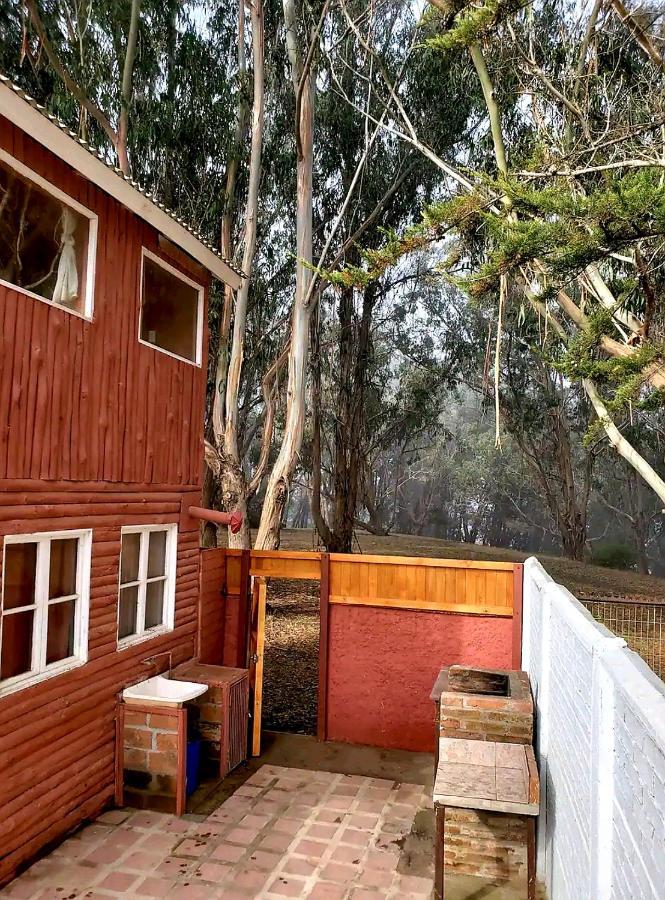 Cabana Con Tinaja Caliente, Quincho Y Pet Friendly Isla Negra المظهر الخارجي الصورة